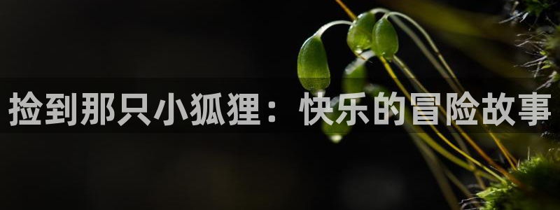 羞羞漫画_专为成年人的漫画_羞羞漫画：捡到那只小狐狸：快乐的冒险故事