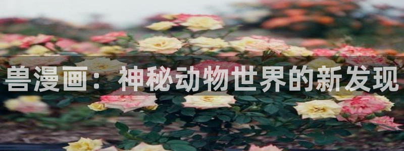 x羞羞漫画：兽漫画：神秘动物世界的新发现