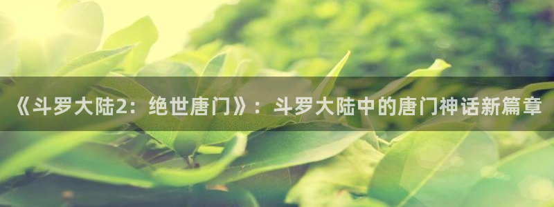 羞羞漫画网页入口免费登录：《斗罗大陆2：绝世唐门》：斗罗大陆中的唐门神话新篇章